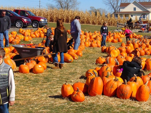 Weekend family events in the Triangle: Oct. 31 to Nov. 2