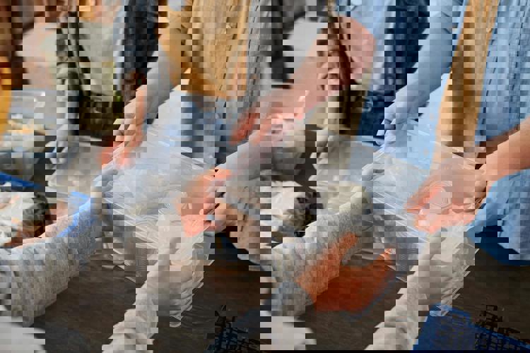 Crossmap Raleigh - Food Pantries.webp